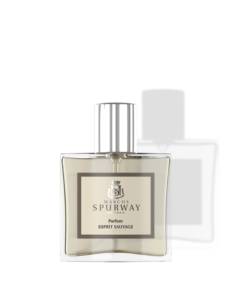 Parfum Homme 50ml Esprit...